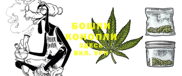 прущий лед Нея