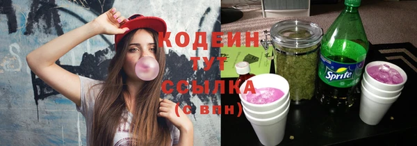 прущий лед Нея