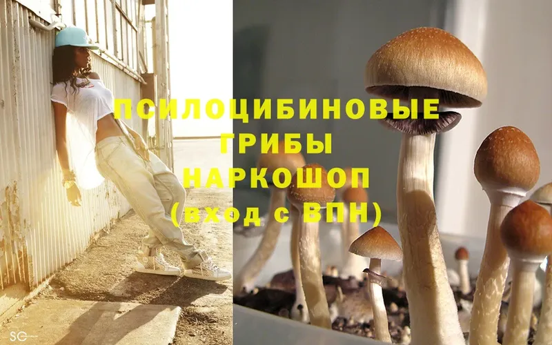 Псилоцибиновые грибы Magic Shrooms  Электрогорск 