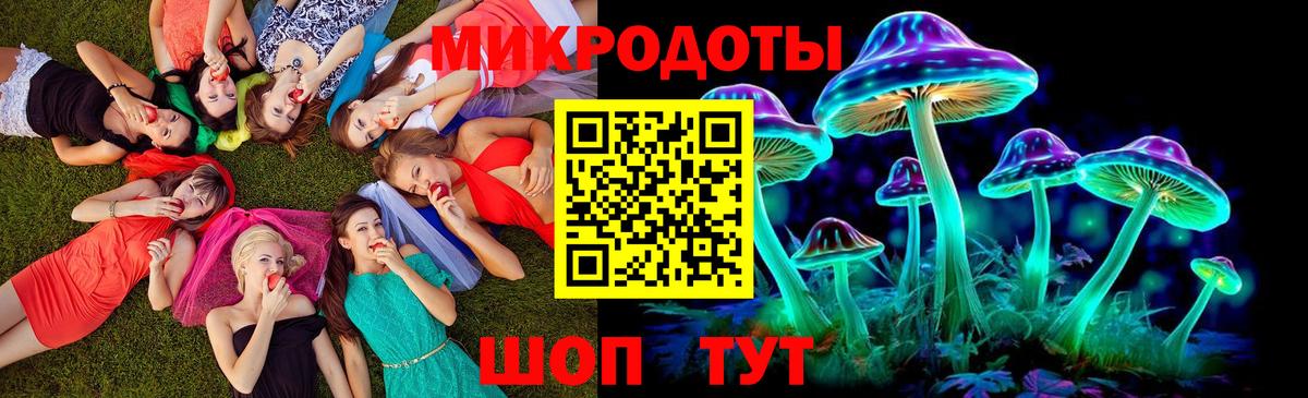 Электрогорск  Галлюциногенные грибы мухоморы  Вход с VPN 