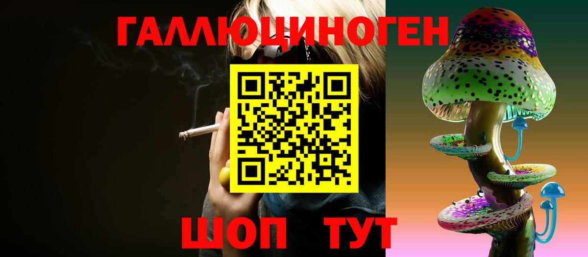 Псилоцибиновые грибы Magic Shrooms  Электрогорск  что такое   Галлюциногенные грибы Psilocybe 